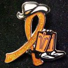 Hunger Awareness Orange Glitter Ribbon Cowgirl Cowboy Western Boots Hat Pin New