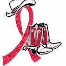 High Blood Pressure Red Glitter Ribbon Cowgirl Cowboy Western Boots Hat Pin New