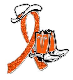 Animal Cruelty Orange Glitter Ribbon Cowgirl Cowboy Western Boots Hat Lapel Pin