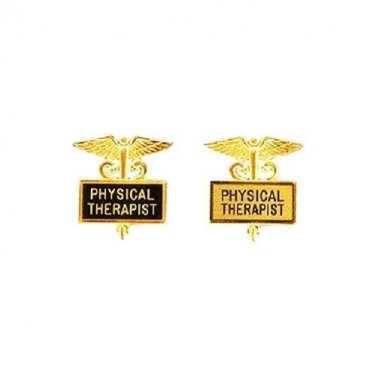 Physical Therapist Pin Inlaid Framed Caduceus Therapy Graduation 2 Colors 3512