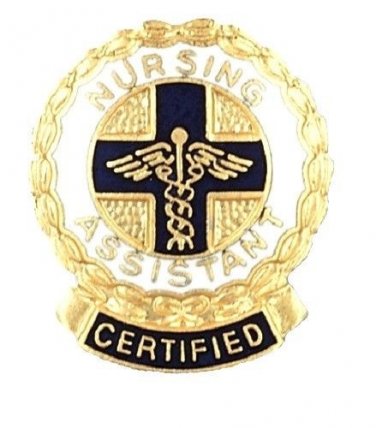 Certified Nursing Assistant Pin Medical Graduation Nurse Recognition 1075 New
