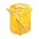 Chiropractic Health Lapel Pin Medical Emblem Winged Angel Graduation 966 New
