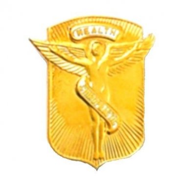 Chiropractic Health Lapel Pin Medical Emblem Winged Angel Graduation 966 New