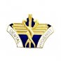 Dental Hygienist Lapel Pin Medical Emblem Graduation Recognition Pins New 5039