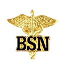 BSN Caduceus Pin Bachelor of Science Nurse Graduation Pinning Ceremony New