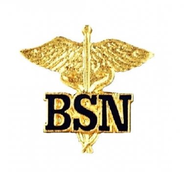 BSN Caduceus Pin Bachelor of Science Nurse Graduation Pinning Ceremony New