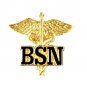 BSN Caduceus Pin Bachelor of Science Nurse Graduation Pinning Ceremony New