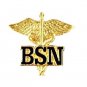 BSN Caduceus Pin Bachelor of Science Nurse Graduation Pinning Ceremony New
