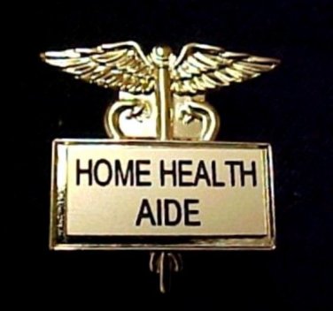 Home Health Aide Pin Caduceus Gold Plate 3529G Professional Medical Pins New