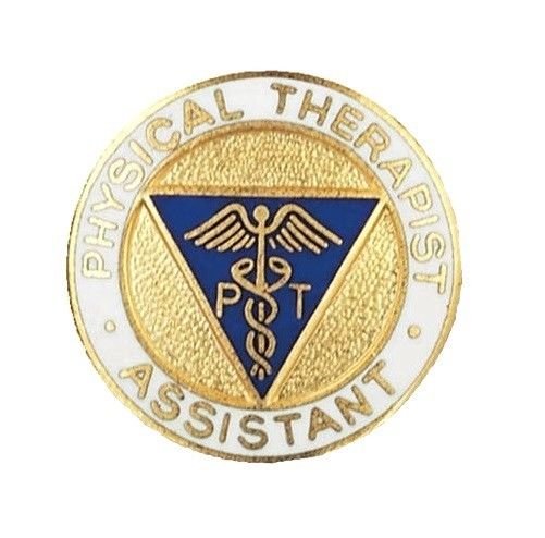 Physical Therapist Assistant Pin Medical Emblem Graduation Recognition Pins New