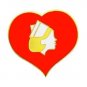 Red Heart Nurse Pin White Head Nursing Emblem Lapel Graduation Recognition 5058