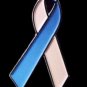 SIDS Awareness Lapel Pin Sudden Infant Death Syndrome Pink Blue Ribbon New