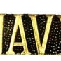 Navy Pin Support USN US Military America Lapel Collar Cap Tac New