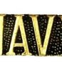 Navy Pin Support USN US Military America Lapel Collar Cap Tac New