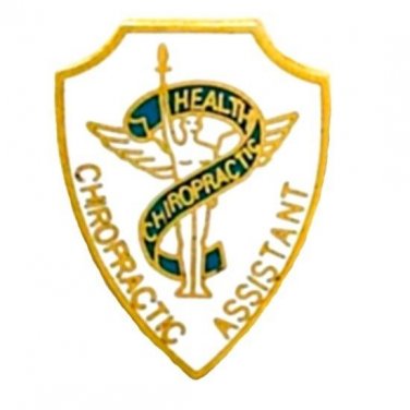 Chiropractic Assistant Pin Chiropractor Health Gold Winged Angel Graduation 968
