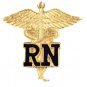 RN Caduceus Lapel Pin Registered Nurse Graduation Nursing Class Pins 1021 New