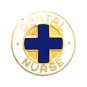 Dental Nurse Lapel Pin Dentistry Nurses Medical Emblem Graduation Pins 816 New