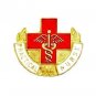 Practical Nurse Lapel Pin Medical Emblem Graduation Recognition Pins 962 New