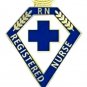 RN Registered Nurse Pin Blue Cross Lamp of Knowledge Graduation Nursing 110 New