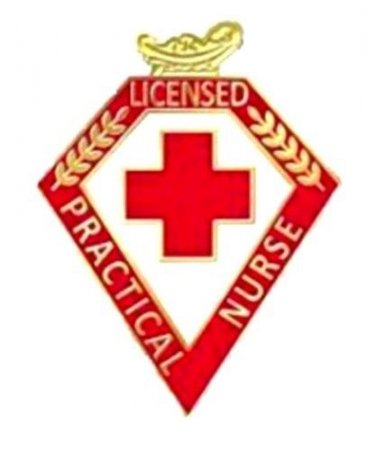 LPN Pin Licensed Practical Nurse Red Cross Lamp of Knowledge Graduation 103 New