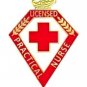 LPN Pin Licensed Practical Nurse Red Cross Lamp of Knowledge Graduation 103 New
