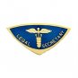 Legal Secretary Lapel Pin Professional Medical Emblem 5027 Gold Plate New