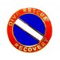 Dive Rescue Recovery Lapel Pin Gold Scuba Diver Flag Diving Team 68G1 M New