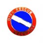 Dive Rescue Recovery Lapel Pin Collar Nickel Diving Team Scuba Diver Flag 68S1 M