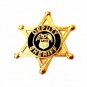 Deputy Sheriff Tie Tack Tac 6 Point Star Eagle Crest Badge Officer Gold P3804G