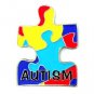 Autism Asperger Pin Awareness Colored Puzzle Piece Shape With Lettering New
