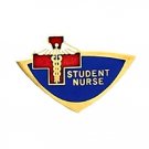 Student Nurse Lapel Pin Nursing Students Blue Red Cross Nurses Emblem 934 New