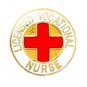 Licensed Vocational Nurse Pin LVN Medical Emblem Graduation Professional 814