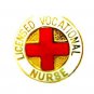 Licensed Vocational Nurse Pin LVN Medical Emblem Graduation Professional 814