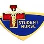 Student Nurse Lapel Pin Nursing Students Blue Red Cross Nurses Emblem 934 New
