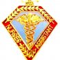 Nurse's Assistant Lapel Pin Medical Emblem Graduation Pins Nursing 5006 New