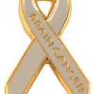 Brain Cancer Awareness Pin Gray Ribbon Gold Raised Letters Cap Tac New