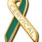Cervical Cancer Awareness Lapel Pin 2 tone Teal White Ribbon Gold Letters New
