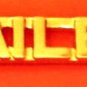 Jailer Collar Pin Set Sheriff Correction Officer Gold Cut Out Letters 2220 New