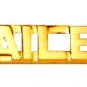 Jailer Collar Pin Set Sheriff Correction Officer Gold Cut Out Letters 2220 New