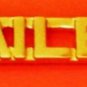 Jailer Collar Pin Set Sheriff Correction Officer Gold Cut Out Letters 2220 New