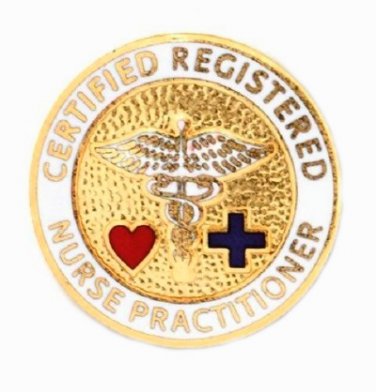 Nurse Practitioner Pin Certified Registered Emblem Graduation NP Nursing New