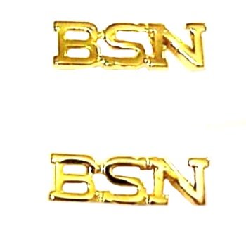 BSN Lapel Pin Tac Set of 2 Cap Pins Bachelor of Science Nurse Graduation 911