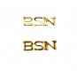 BSN Lapel Pin Tac Set of 2 Cap Pins Bachelor of Science Nurse Graduation 911