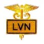 LVN Lapel Pin Licensed Vocational Nurse Inlaid Framed Caduceus Gold 3506G New
