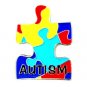 Autism Asperger Pin Awareness Colored Puzzle Piece Shape With Lettering New
