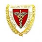 Registered Physical Therapist Lapel Pin Caduceus RPT Graduation 981 New