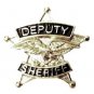 Deputy Sheriff Tie Tac 5 Point Star Eagle Officer Professional Nickel P3803N