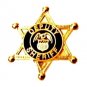 Deputy Sheriff Tie Tack Tac 6 Point Star Eagle Crest Badge Officer Gold P3804G
