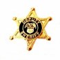 Deputy Sheriff Tie Tack Tac 6 Point Star Eagle Crest Badge Officer Gold P3804G