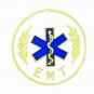 EMT Star of Life Lapel Pin Emblem Emergency Medical Technician Official New 5002